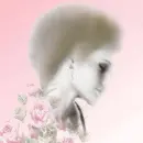 Lady