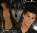 Jacob Black