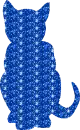 gatto