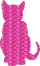 gatto