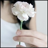white rose