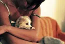 love dog