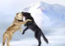 wolf lovers