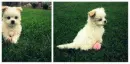 so cute
