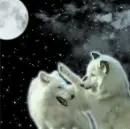 wolf lovers