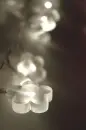 flower lights