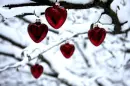 heart in tree