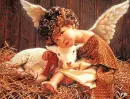 Angel Lamb