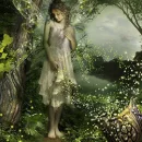 Fairy Dust