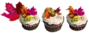 Autumn Cupcakes