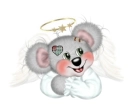 CREDDY ANGLE