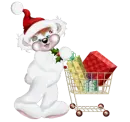 CREDDY BEAR 