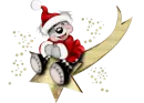CREDDY BEAR