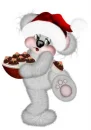 CREDDY BEAR