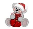 CREDDY BEAR