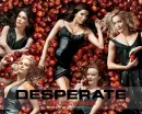 desperate housewives