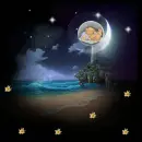 night