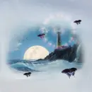 Storm