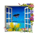Window
