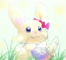 animate bunny