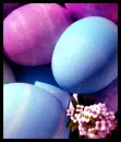 blue eggs