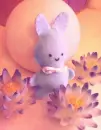 bunny eggs