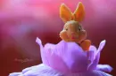 cute bunny cake
