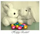 doll bunny