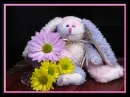 doll bunny