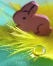 false rabbit