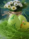 green egg
