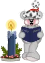 CREDDY BEAR