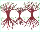 Family Trees