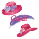 Pink Hats and Purple Feather - Cindi