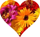 HEART FLOWERS