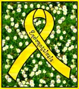 Endometriosis Awareness