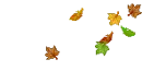 autumn leafs