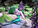 The fairy.