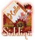 Hello, Siddiqa