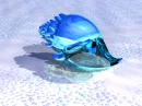 SEASHELL