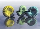 SEA SHELLS