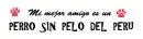 Mi mejor amigo