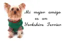 Mi mejor amigo