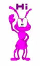 Ant hi