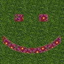 Smiley Garden