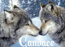 Wolf Love Candace