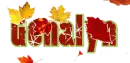 Fall Leaves