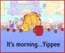 morning again