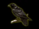 Crow