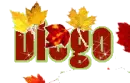 Fall Leaves